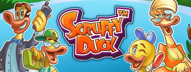 Scruffy duck netent avis